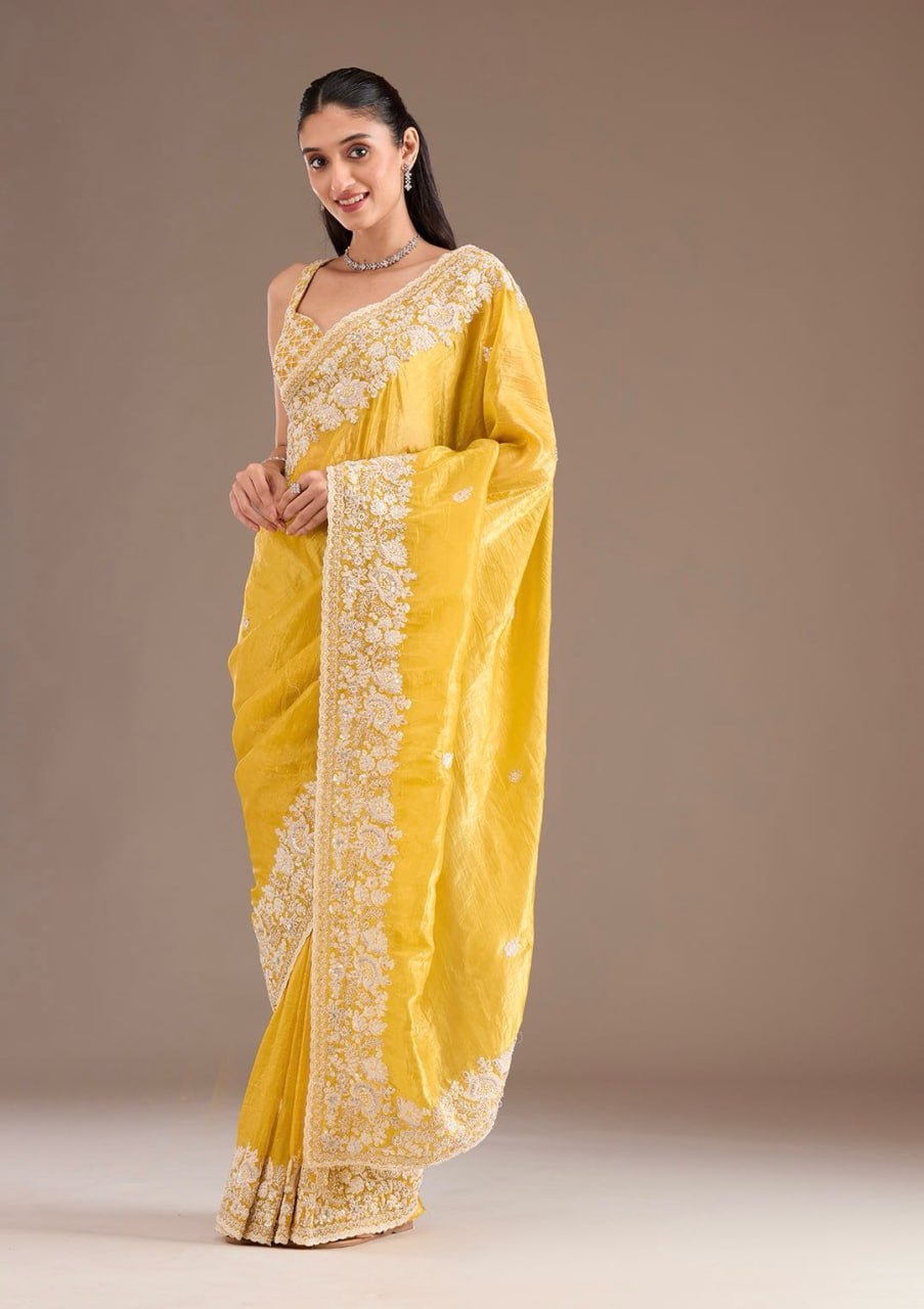 Heavy Embroidery Codding & Sequins Work With Fancy CutWork Border