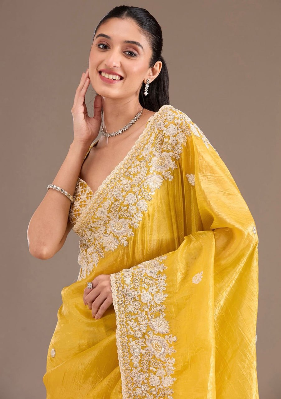 Heavy Embroidery Codding & Sequins Work With Fancy CutWork Border