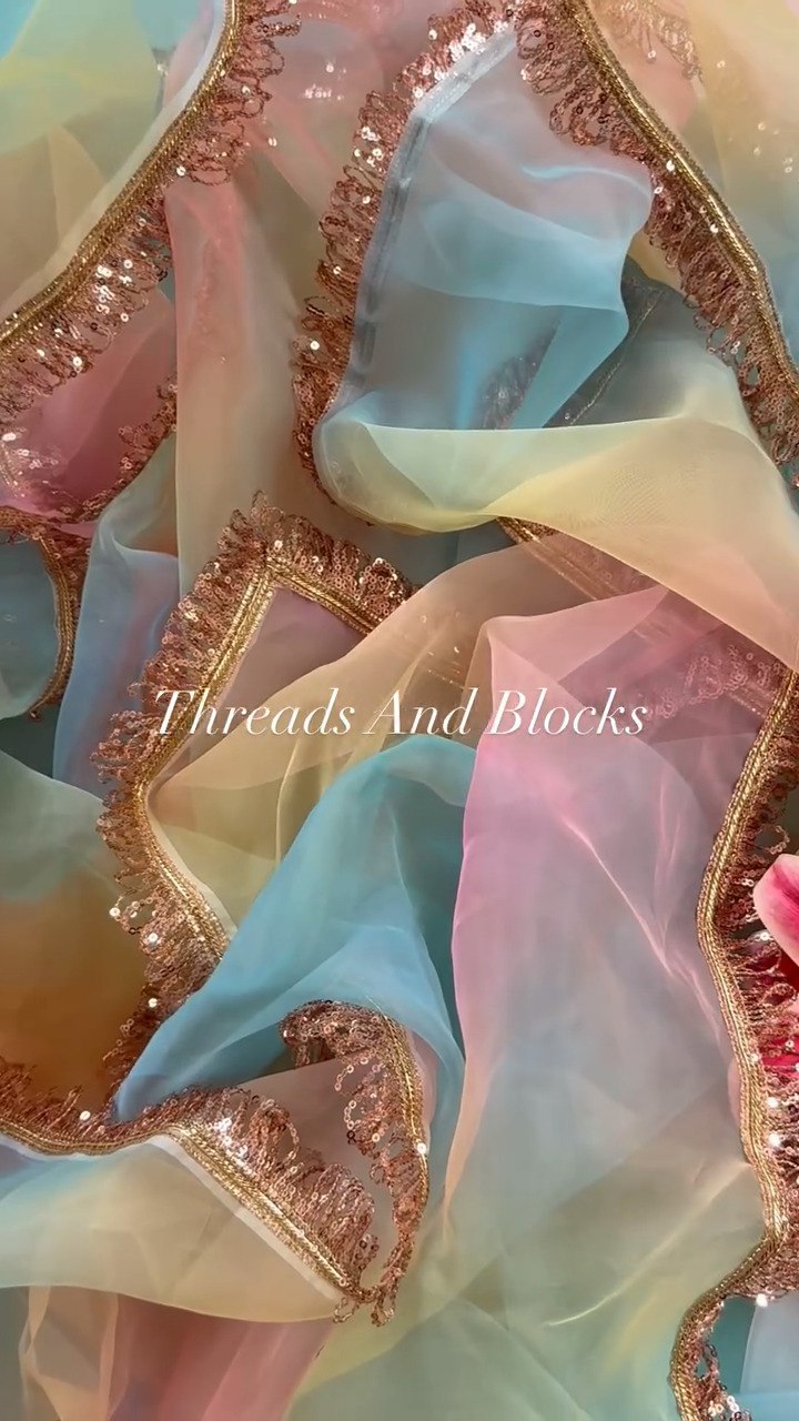 Heavy Organza Digital Print With Lace Border in Saree Work