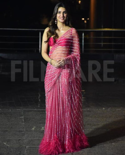 Bollywood HEAVY NYLONE BUTTERFLY NET Saree with Blouse